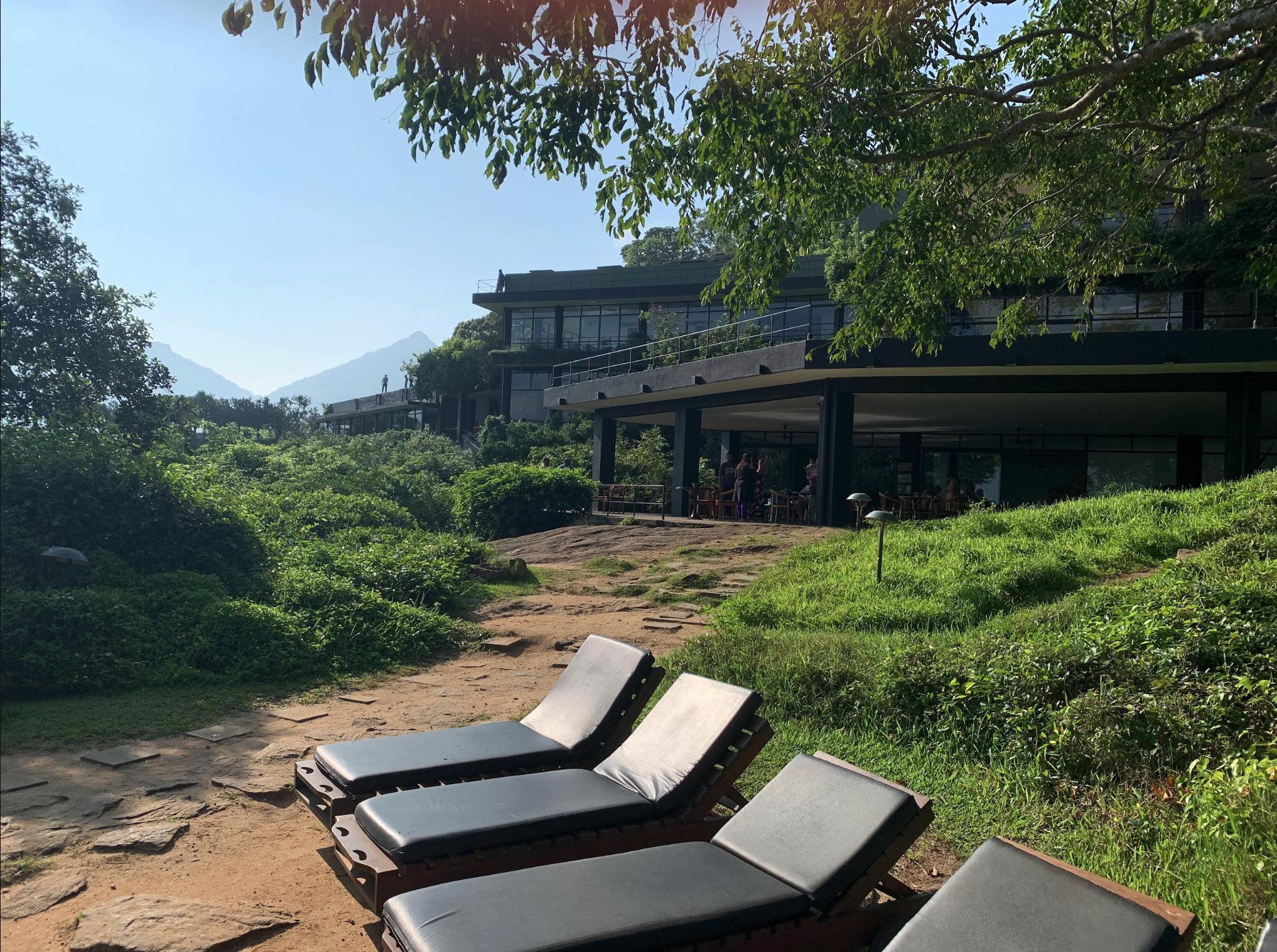 Heritance Kandalama hotel surrounded by greenery in Sri Lanka