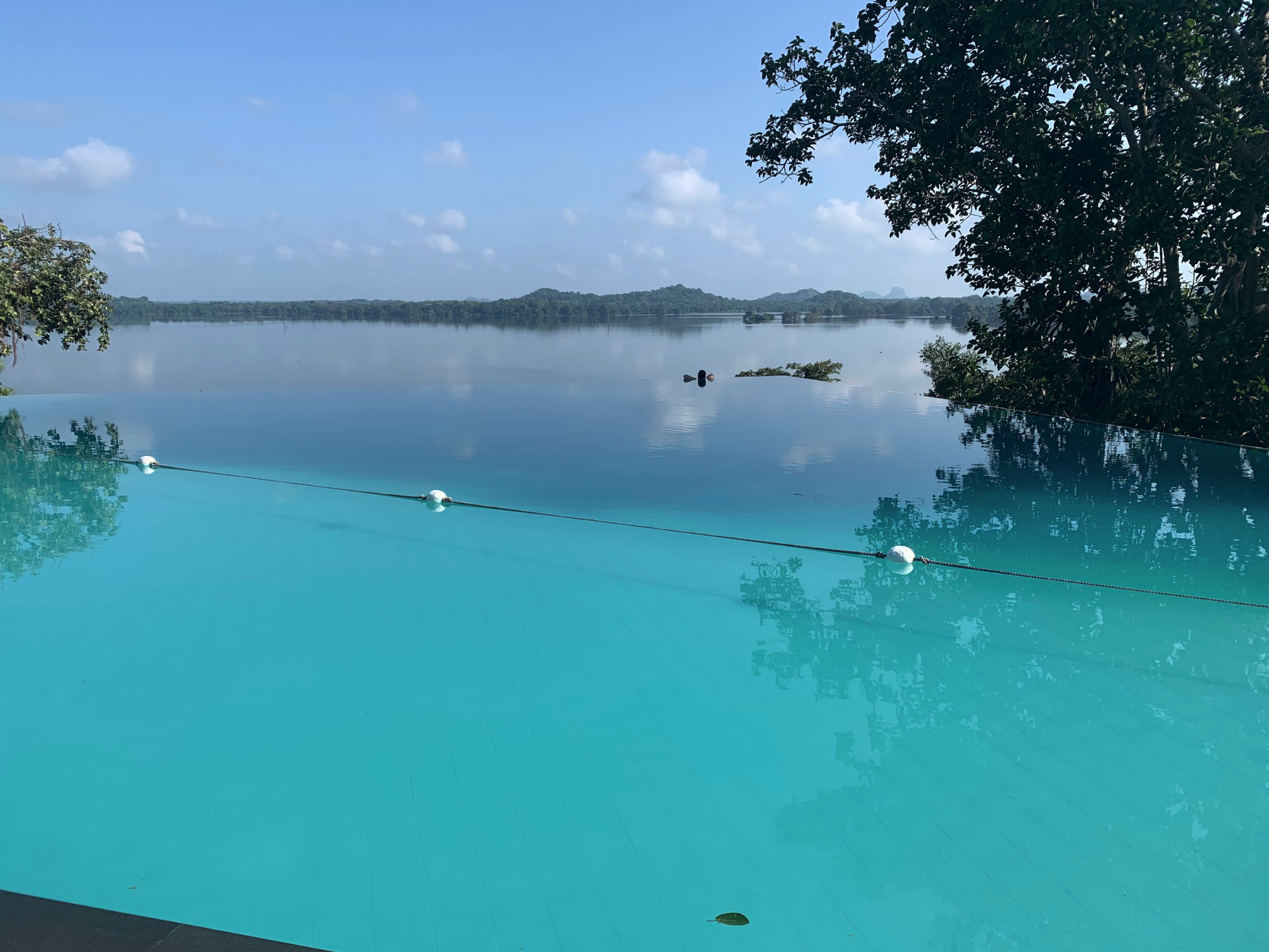 Heritance Kandalama infinity pool overlooking the lake in Sri Lanka